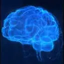 The Memory Wave official website